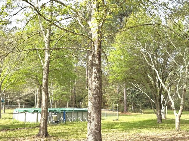 297 County Road 4479, Warren, TX 77664