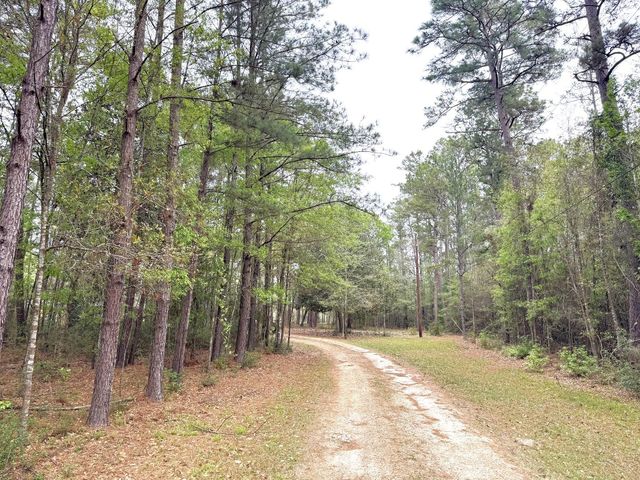 297 County Road 4479, Warren, TX 77664