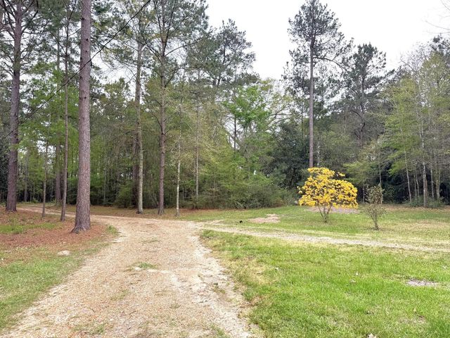 297 County Road 4479, Warren, TX 77664