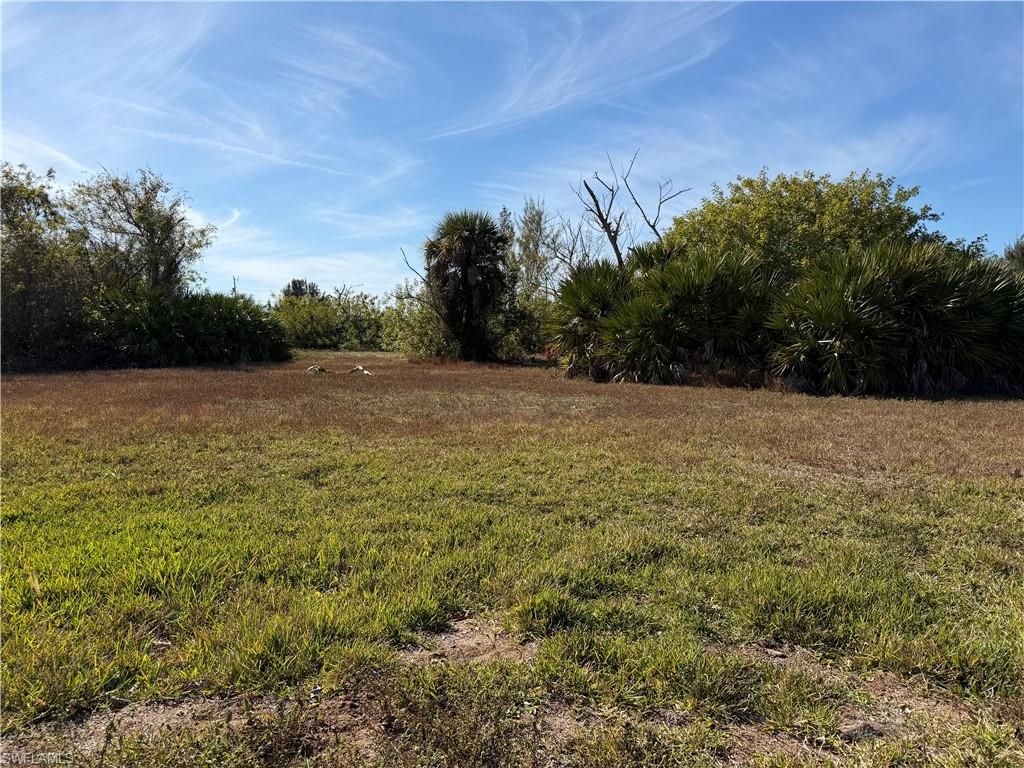 1154 NW 28th AVE, CAPE CORAL, FL 33993 — photo 2