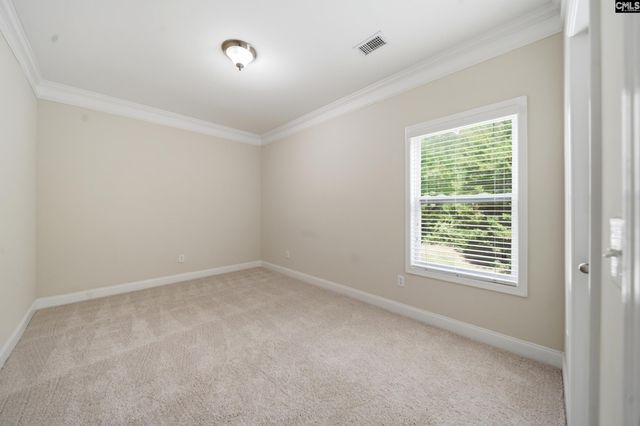 317 Eagle Claw Drive, Chapin, SC 29036