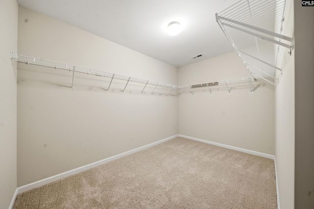 317 Eagle Claw Drive, Chapin, SC 29036
