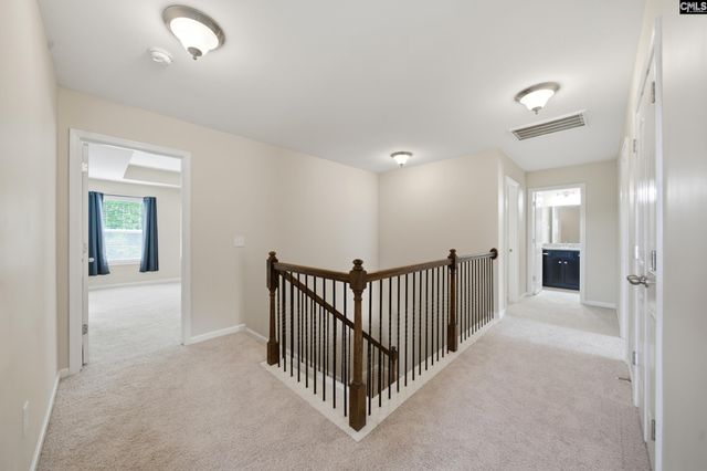 317 Eagle Claw Drive, Chapin, SC 29036
