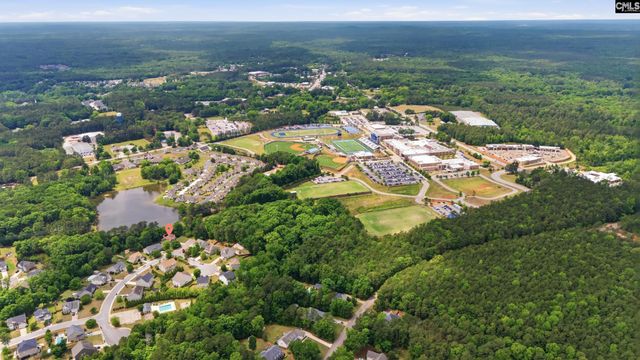317 Eagle Claw Drive, Chapin, SC 29036