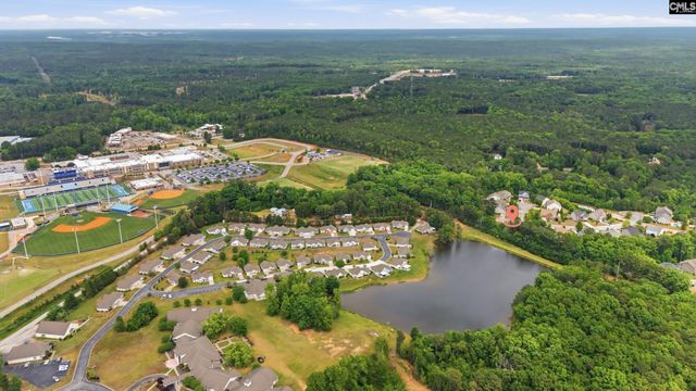 317 Eagle Claw Drive, Chapin, SC 29036