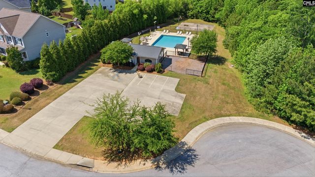 317 Eagle Claw Drive, Chapin, SC 29036