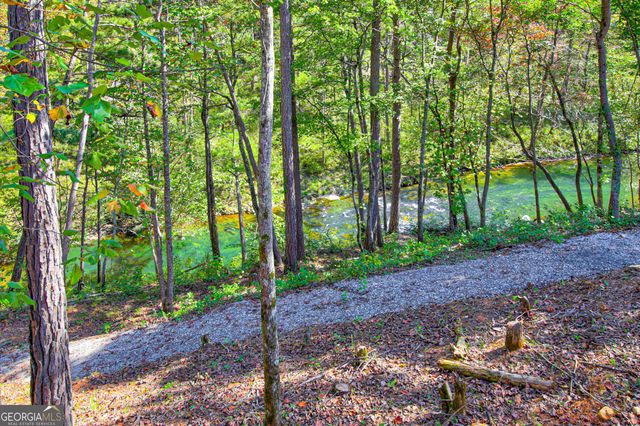 380 Biguns Boulevard, Talking Rock, GA 30175