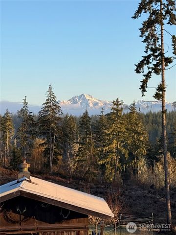 161 NE Belfair View Road, Belfair, WA 98528