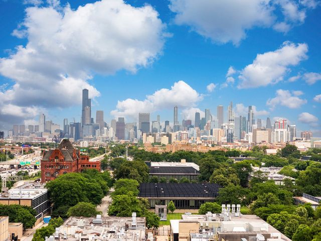 17 W 35th Street 304, Chicago, IL 60616
