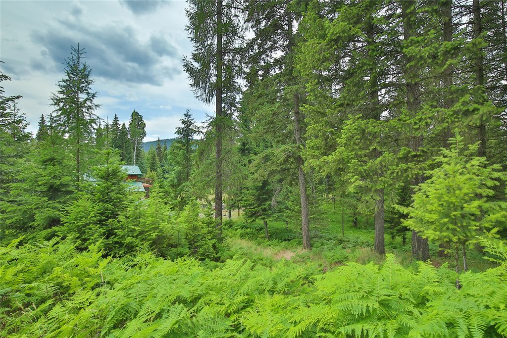 Image 40 of property listing at 32 Whitepine Creek Road, Trout Creek, MT 59874
