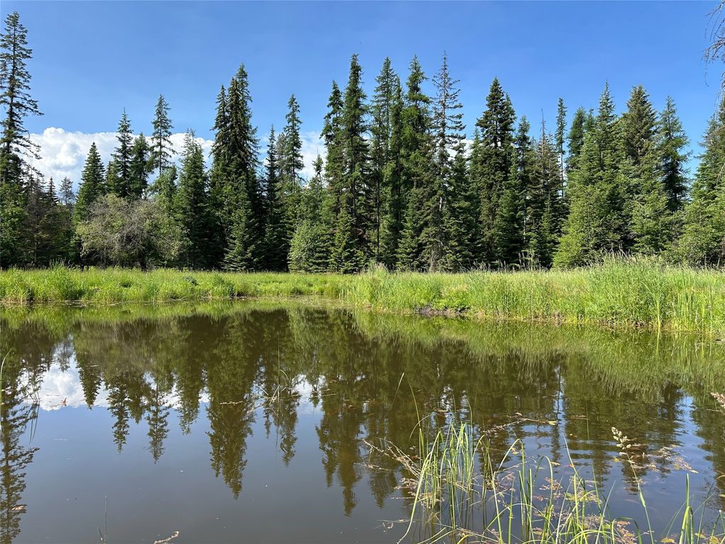 Image 70 of property listing at 32 Whitepine Creek Road, Trout Creek, MT 59874