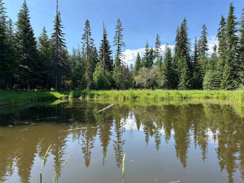 Image 71 of property listing at 32 Whitepine Creek Road, Trout Creek, MT 59874
