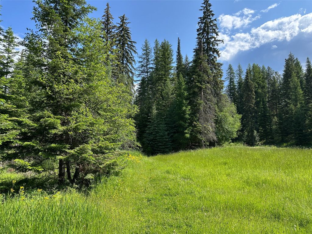 Image 74 of property listing at 32 Whitepine Creek Road, Trout Creek, MT 59874