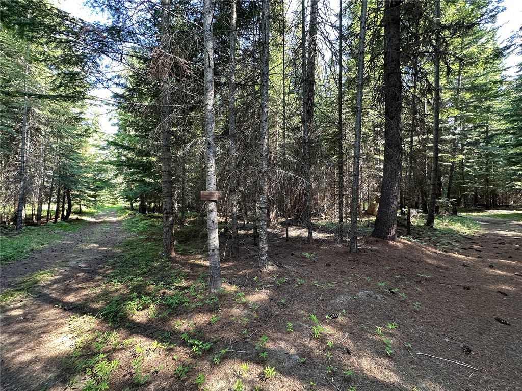 Image 76 of property listing at 32 Whitepine Creek Road, Trout Creek, MT 59874