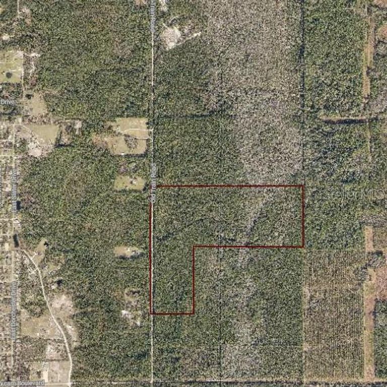 Image 1 of property listing at 0 OLD TRAIN ROAD, New Smyrna Beach, FL 32168
