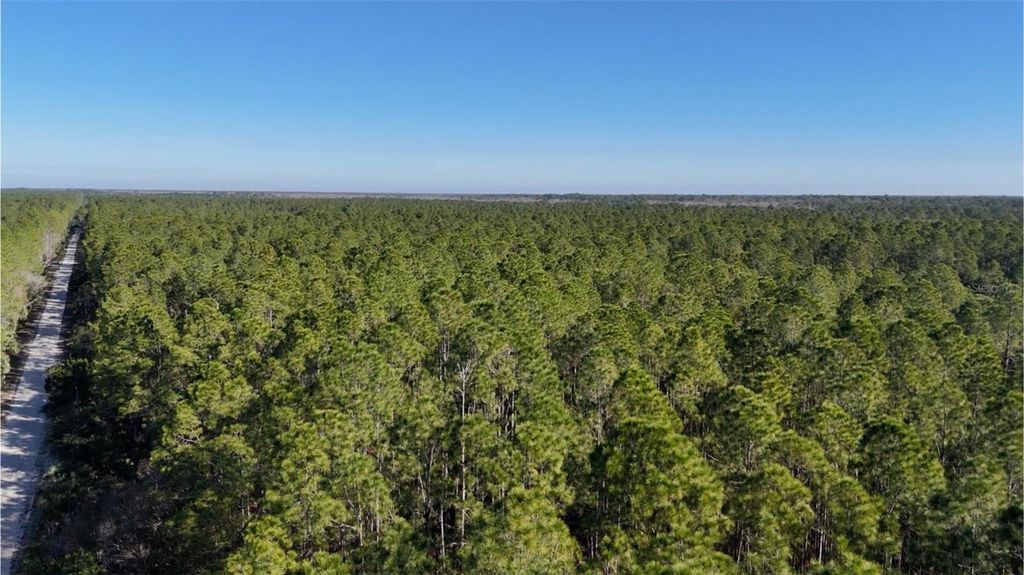 Image 3 of property listing at 0 OLD TRAIN ROAD, New Smyrna Beach, FL 32168