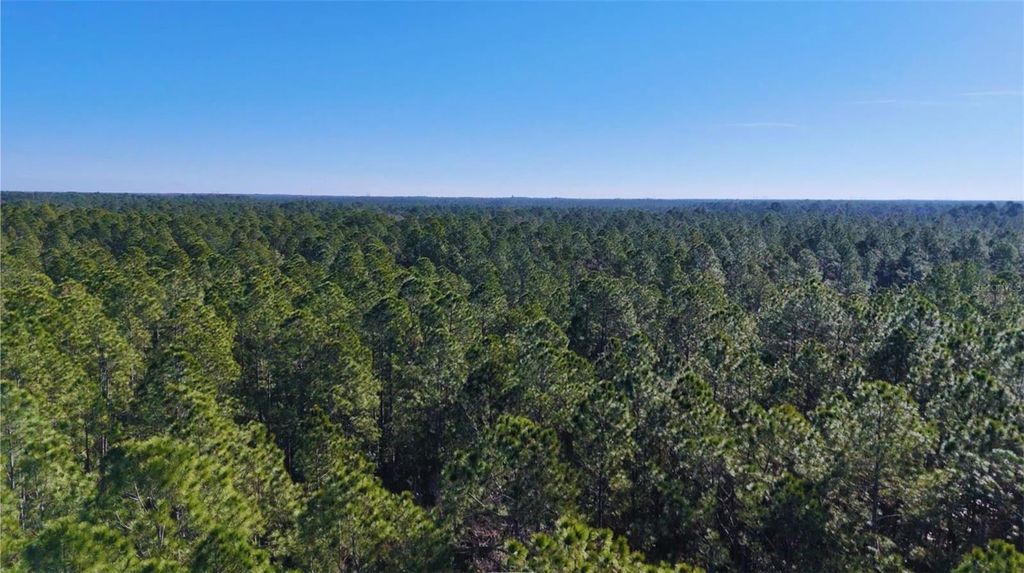 Image 7 of property listing at 0 OLD TRAIN ROAD, New Smyrna Beach, FL 32168