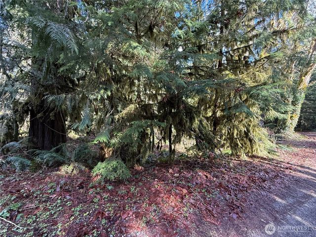 0 High Ridge Drive, Marblemount, WA 98267