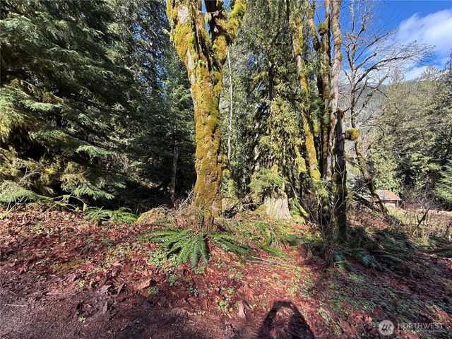 0 High Ridge Drive, Marblemount, WA 98267