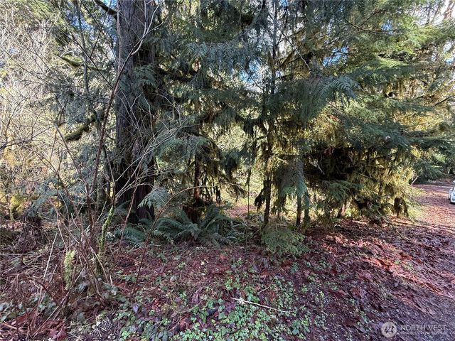 0 High Ridge Drive, Marblemount, WA 98267