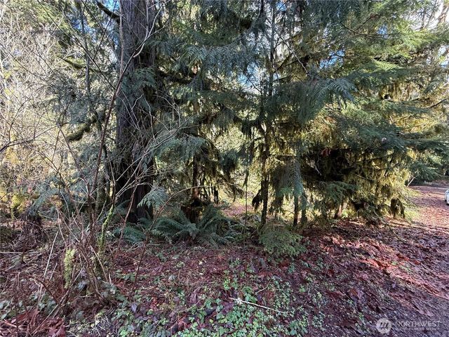 0 High Ridge Drive, Marblemount, WA 98267