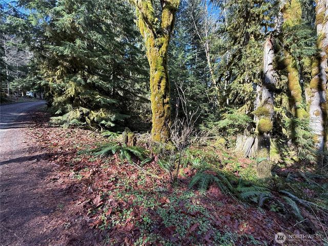 0 High Ridge Drive, Marblemount, WA 98267