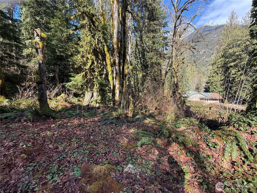 0 High Ridge Drive, Marblemount, WA 98267