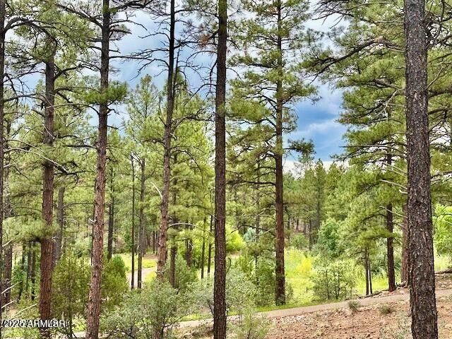 2711 W VILLA Loop, Show Low, AZ 85901