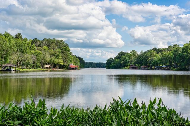 272 Branding Iron Lane, Holly Lake Ranch, TX 75765