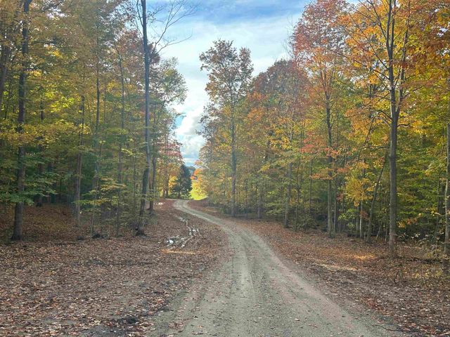 11605 S Tower, Kasson Twp, MI 49664