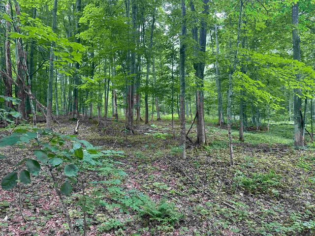 11605 S Tower, Kasson Twp, MI 49664