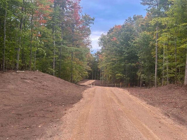 11605 S Tower, Kasson Twp, MI 49664