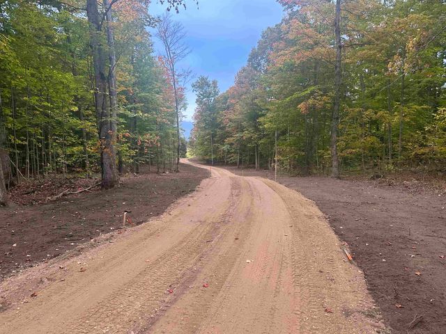 11605 S Tower, Kasson Twp, MI 49664