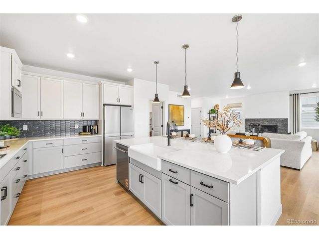 16923 Red Dawn Pl, Parker, CO 80134