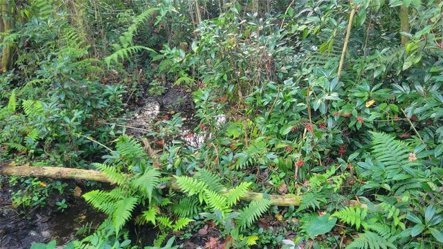 22380 POWELL ROAD, Brooksville, FL 34602