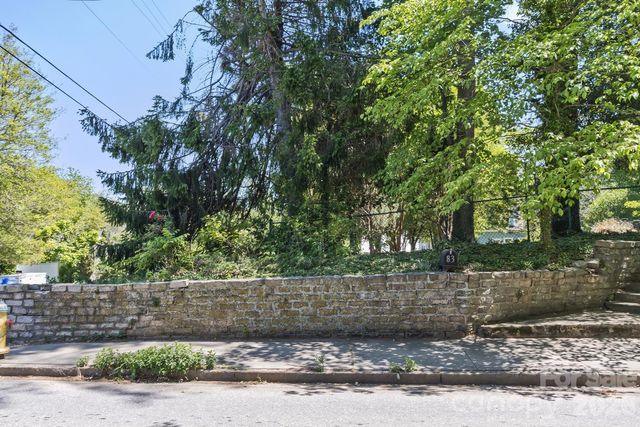 87 Hillside Street, Asheville, NC 28801