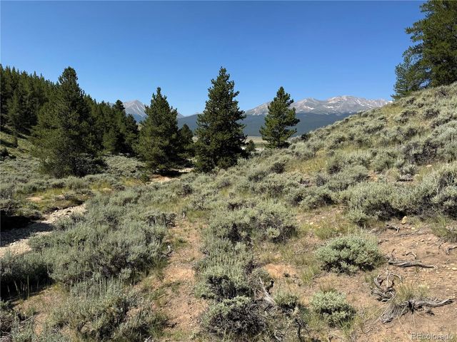 12340 US Highway 24, Leadville, CO 80461