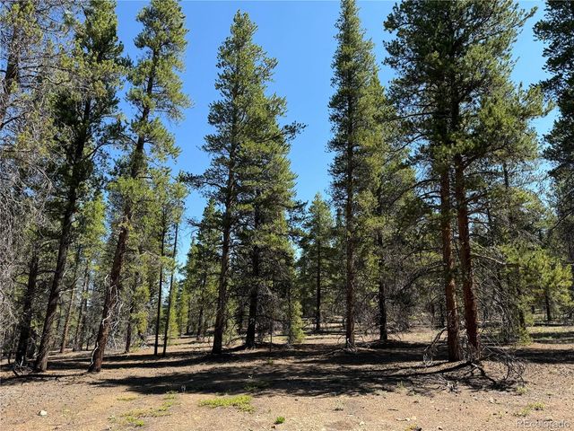 12340 US Highway 24, Leadville, CO 80461