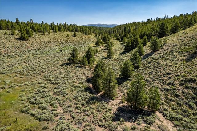 12340 US Highway 24, Leadville, CO 80461