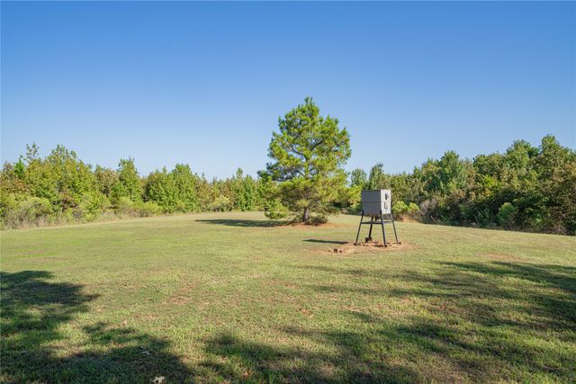 3299 CR 1579-2, Avinger, TX 75630