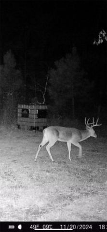 3299 CR 1579-2, Avinger, TX 75630