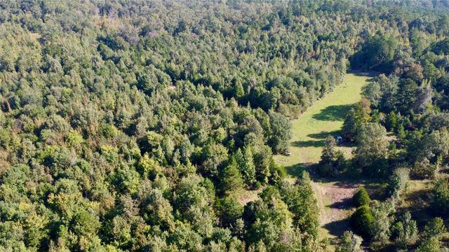 3299 CR 1579-2, Avinger, TX 75630