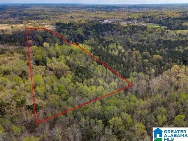 2017 LAY DAM ROAD, Clanton, AL 35046
