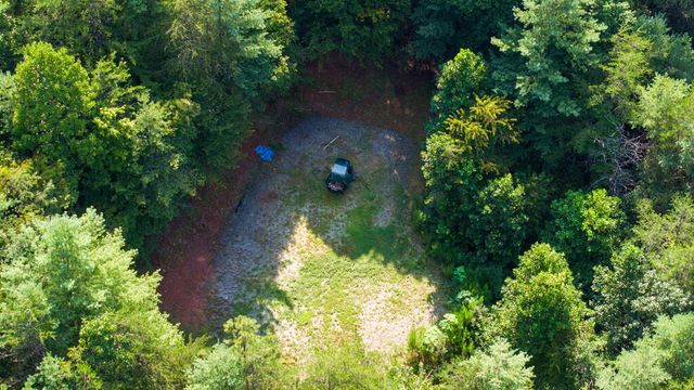 45 Green Cove Road, Brasstown, NC 28902