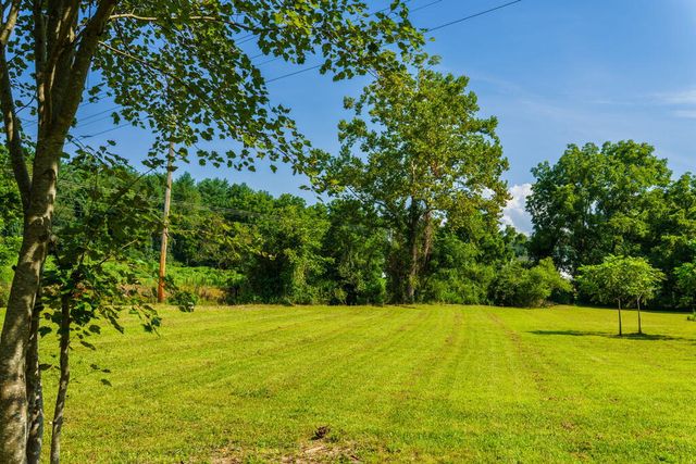 45 Green Cove Road, Brasstown, NC 28902