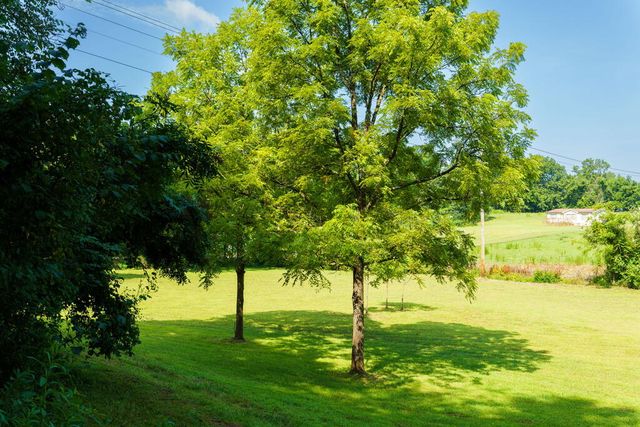 45 Green Cove Road, Brasstown, NC 28902