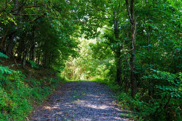 45 Green Cove Road, Brasstown, NC 28902