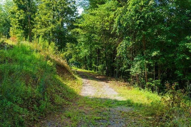 45 Green Cove Road, Brasstown, NC 28902