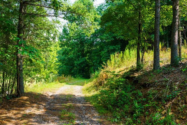 45 Green Cove Road, Brasstown, NC 28902