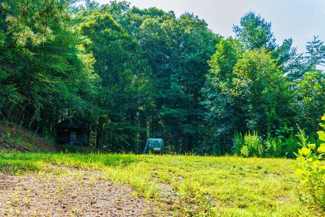 45 Green Cove Road, Brasstown, NC 28902